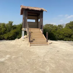 Khor Al Udeid Mangroves - Khor