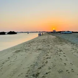 Khor Al Udeid Mangroves - Khor