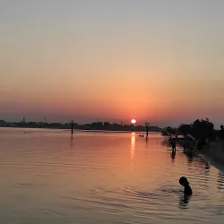 Khor Al Udeid Mangroves - Khor