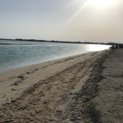 Khor Al Udeid Mangroves - Khor