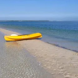 Khor Al Udeid Mangroves - Khor