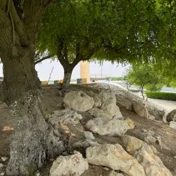 Khor Heritage Village - Khor