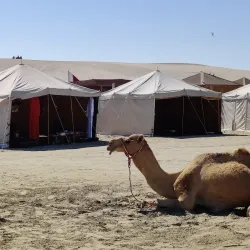 Mesaieed Desert - Mesaieed (Musay'id)