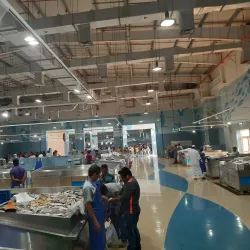 Mesaieed Fish Market - Mesaieed (Musay'id)