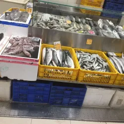 Mesaieed Fish Market - Mesaieed (Musay'id)