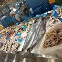 Mesaieed Fish Market - Mesaieed (Musay'id)