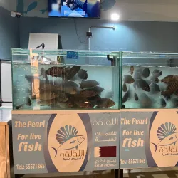 Mesaieed Fish Market - Mesaieed (Musay'id)