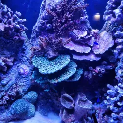 Qatar Petroleum Visitors Center - Mesaieed (Musay'id)