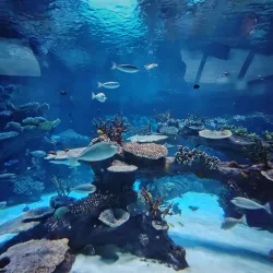 Qatar Petroleum Visitors Center - Mesaieed (Musay'id)