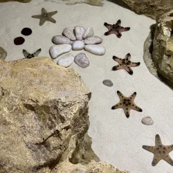 Qatar Petroleum Visitors Center - Mesaieed (Musay'id)