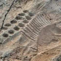 Al Jassasiya Rock Carvings - Umm Bab