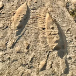 Al Jassasiya Rock Carvings - Umm Bab