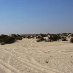 Al Jassasiya Rock Carvings - Umm Bab