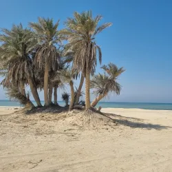 Umm Bab Beach - Umm Bab