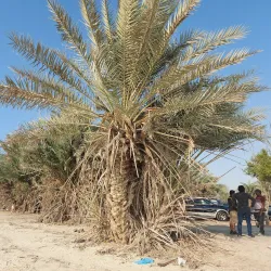 Umm Bab Beach - Umm Bab