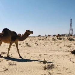 Umm Bab Oil and Gas Facilities - Umm Bab