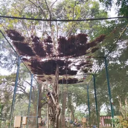 Brazzaville Botanical Garden - Brazzaville