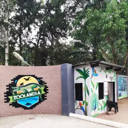 Brazzaville Botanical Garden - Brazzaville