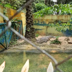 Brazzaville Botanical Garden - Brazzaville