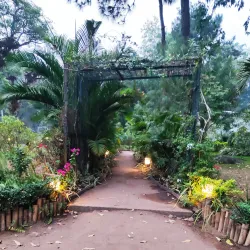 Brazzaville Botanical Garden - Brazzaville