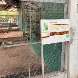 Brazzaville Zoo - Brazzaville