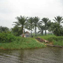 Congo River - Brazzaville