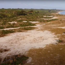 Loango National Park (near Pointe-Noire) - Pointe-Noire