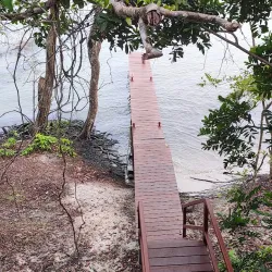 Loango National Park (near Pointe-Noire) - Pointe-Noire