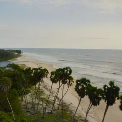 Loango National Park (near Pointe-Noire) - Pointe-Noire