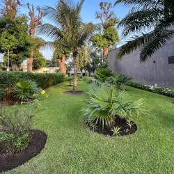 Pointe-Noire Botanical Garden - Pointe-Noire