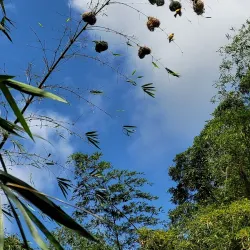 Cascade Niagara - Saint-Joseph