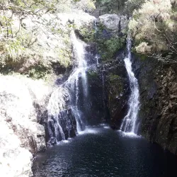 Forêt de Bébour-Bélouve - Saint-Joseph