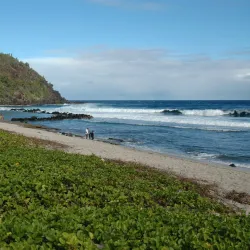 Grand Anse Beach - Saint-Joseph