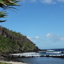 Grand Anse Beach - Saint-Joseph