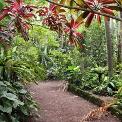 Jardin des Parfums et des Epices - Saint-Joseph