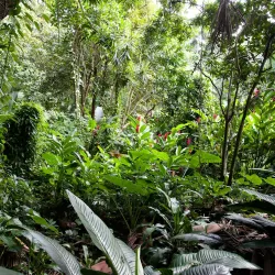 Jardin des Parfums et des Epices - Saint-Joseph