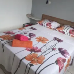 Le Sud Sauvage - Saint-Joseph