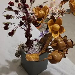 Le Sud Sauvage - Saint-Joseph