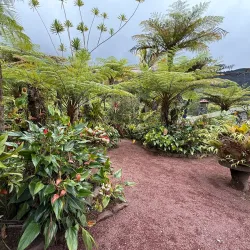 Maison Folio - Saint-Joseph