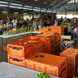Marché de Saint-Joseph - Saint-Joseph
