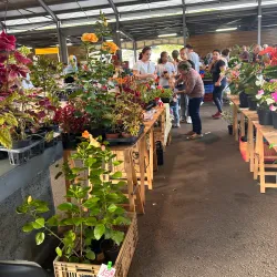 Marché de Saint-Joseph - Saint-Joseph