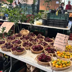 Marché de Saint-Joseph - Saint-Joseph