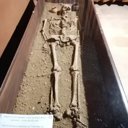 Union Museum (Muzeul Unirii) - Alba Iulia