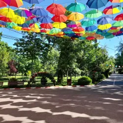 Alexandria City Park - Alexandria