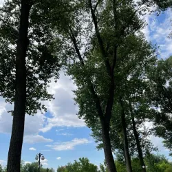 Alexandria City Park - Alexandria