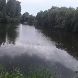 Alexandria City Park - Alexandria