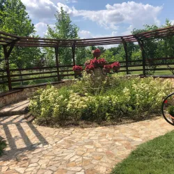 Alexandria City Park - Alexandria