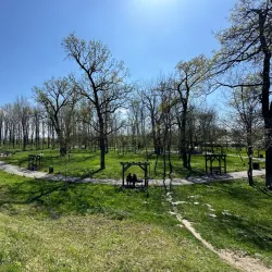 Alexandria City Park - Alexandria