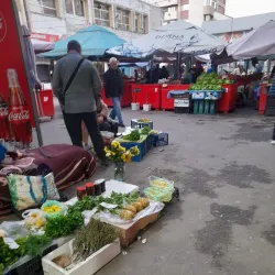 Alexandria Market - Alexandria