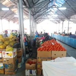 Alexandria Market - Alexandria